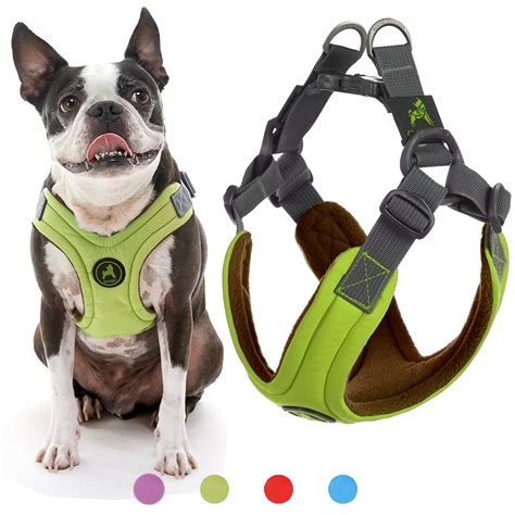 designer harnesses for small dogs.